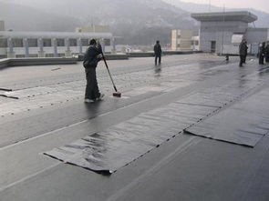 南沙防水補(bǔ)漏工程k11防水涂料